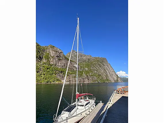 Delphia 40