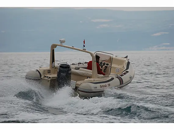 Barracuda 590